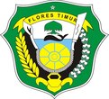 Kabupaten Flores Timur
